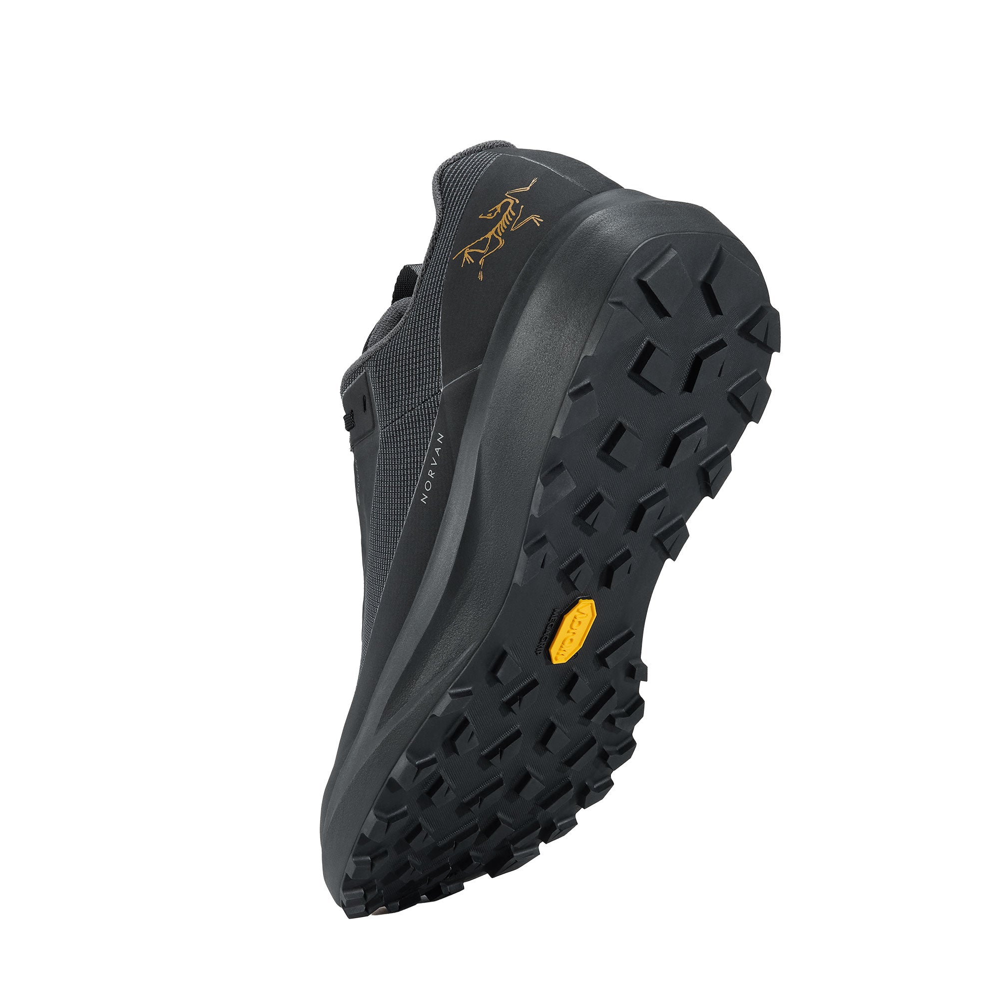 Norvan LD 4 GTX Mens - Black/Black