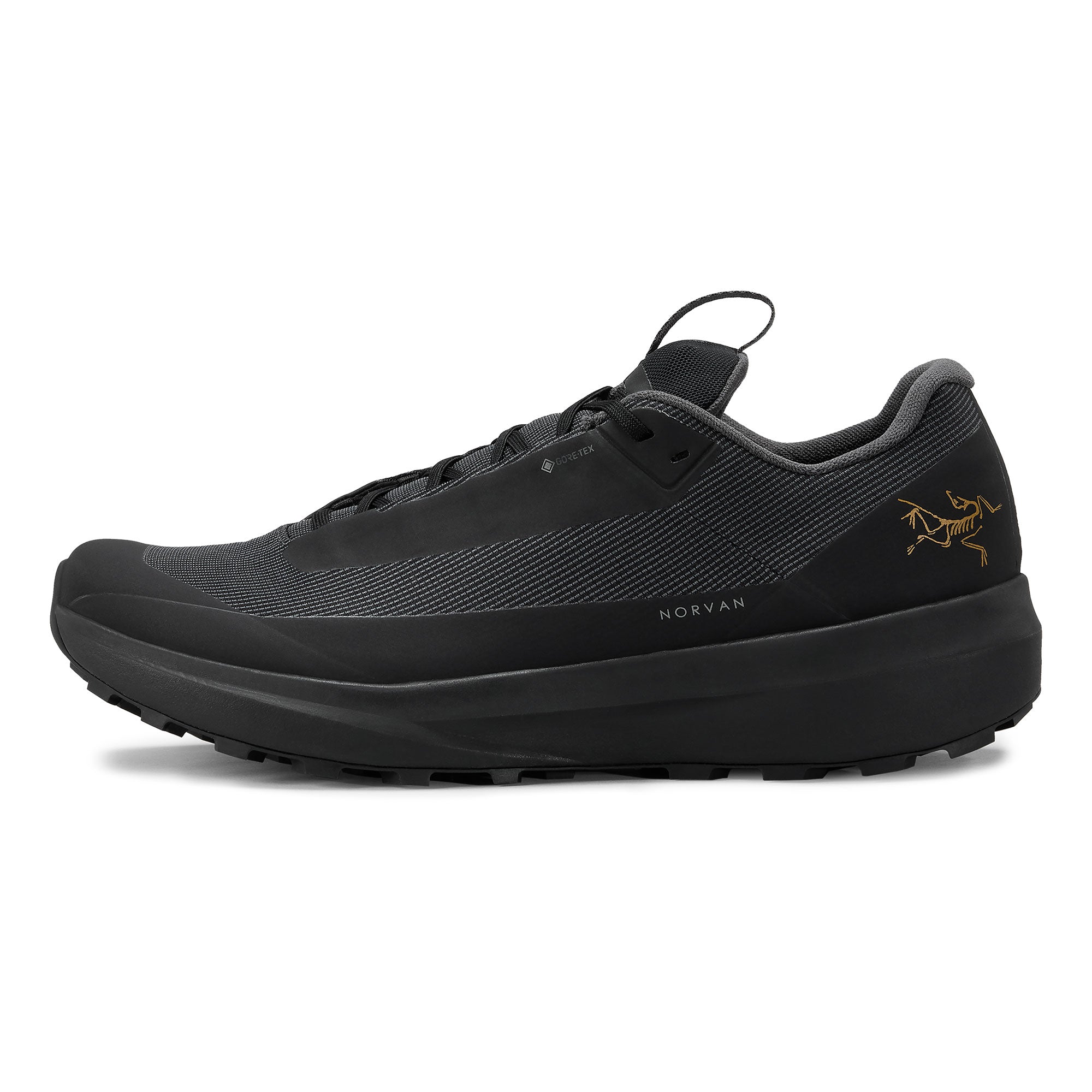 Norvan LD 4 GTX Mens - Black/Black
