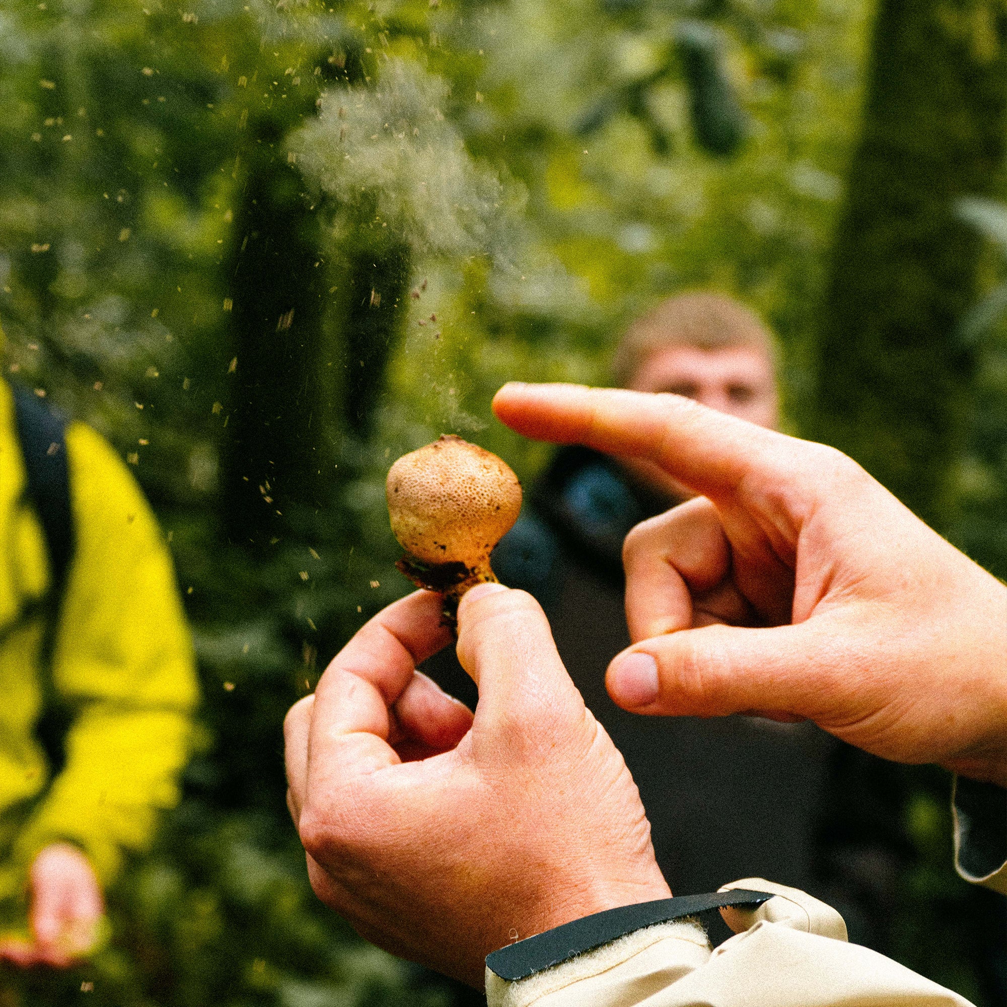 Forage in the Fells - Friday 26th September