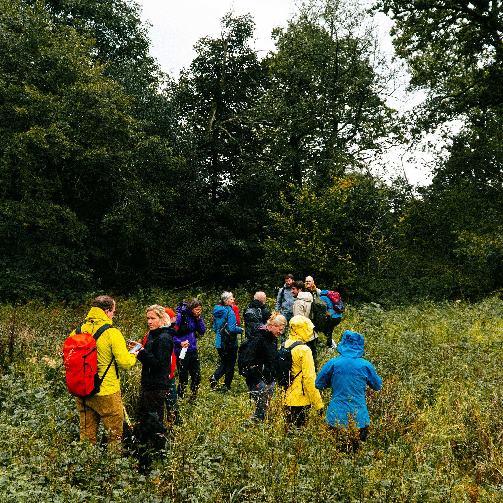 Forage in the Fells - Friday 26th September