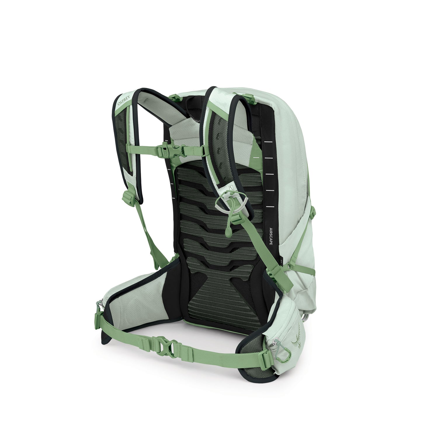 Tempest 11 - Frosty Mint Green Botanica