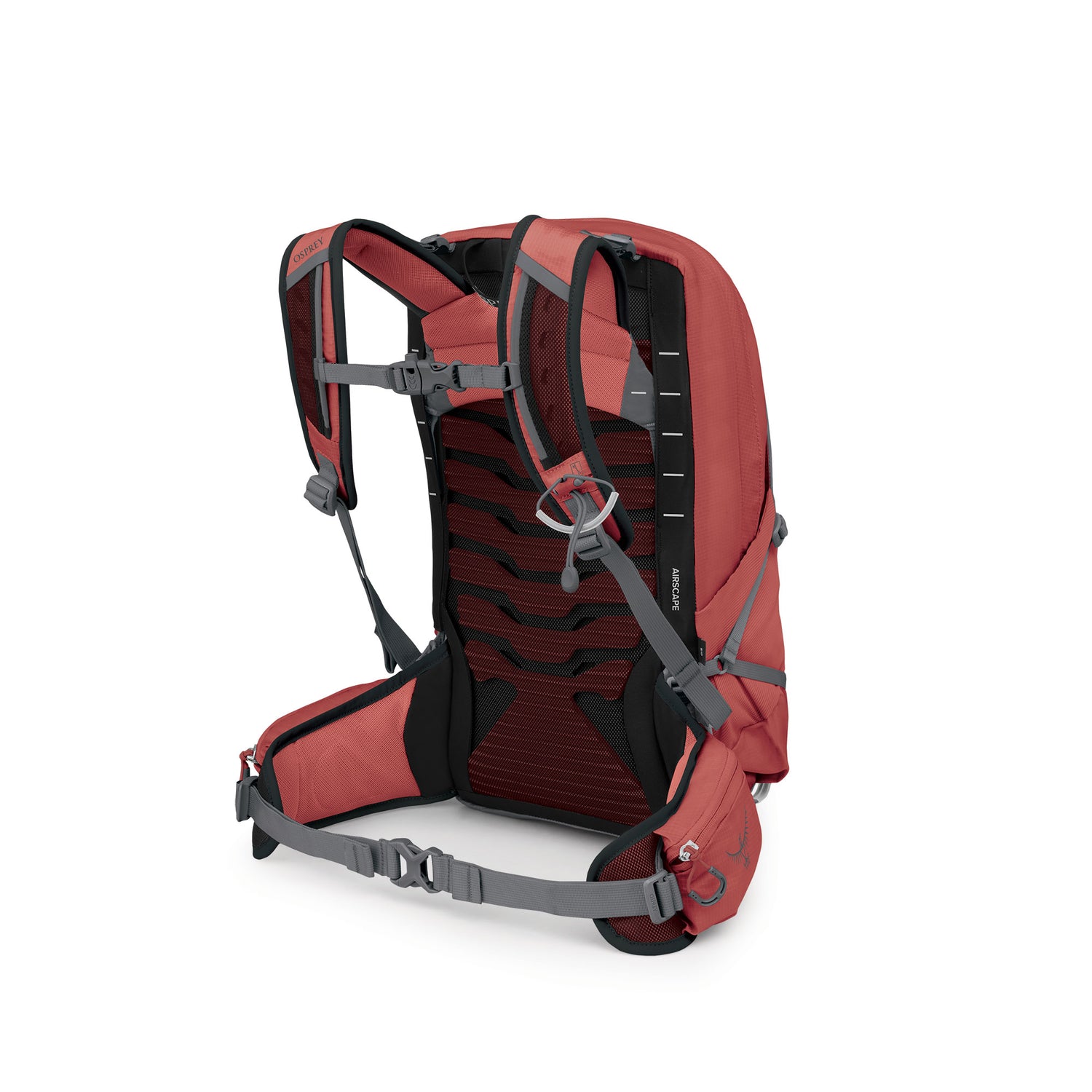 Tempest 11 - Red Pampas Coal Grey