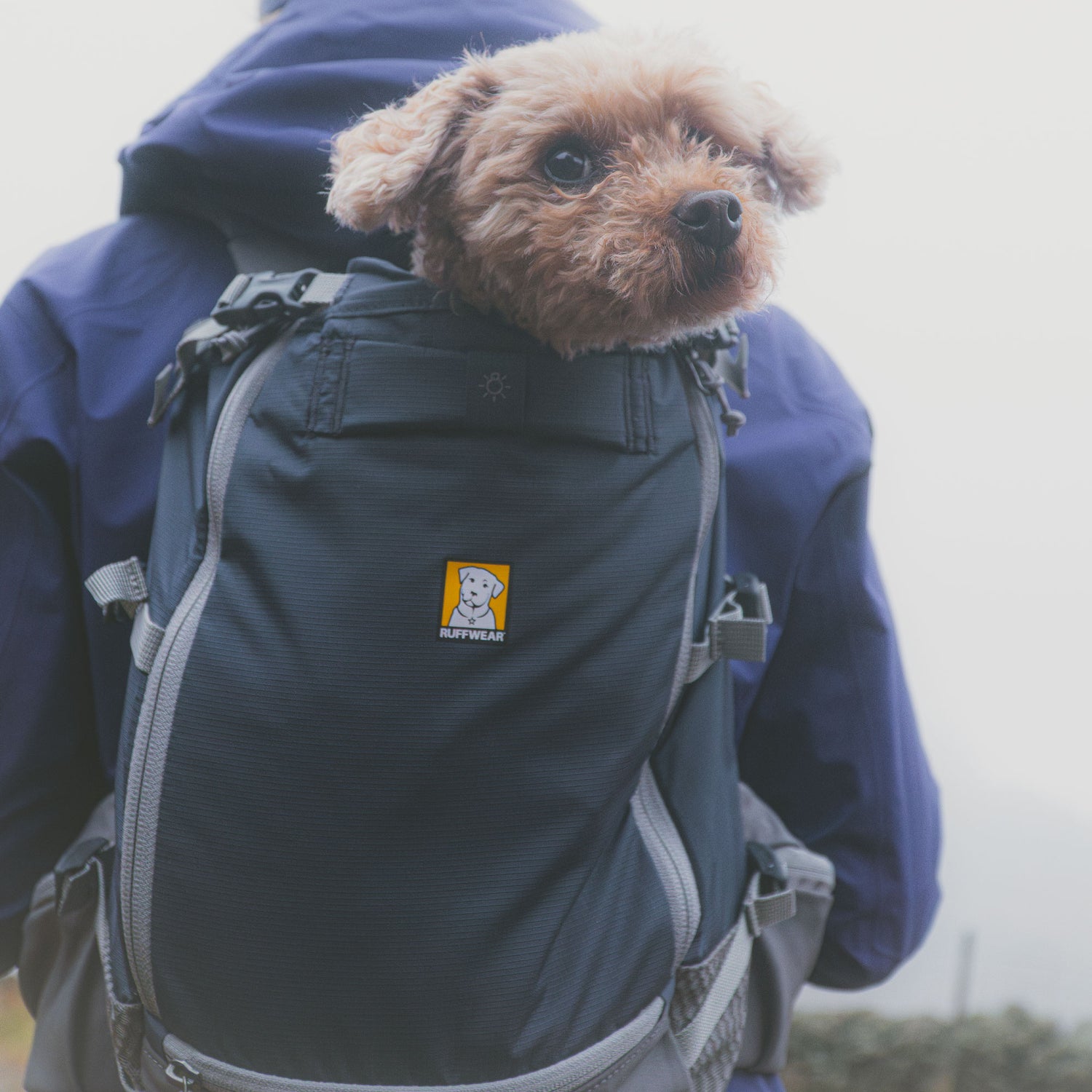 Hitch Hiker Dog Backpack Carrier - Basalt Gray