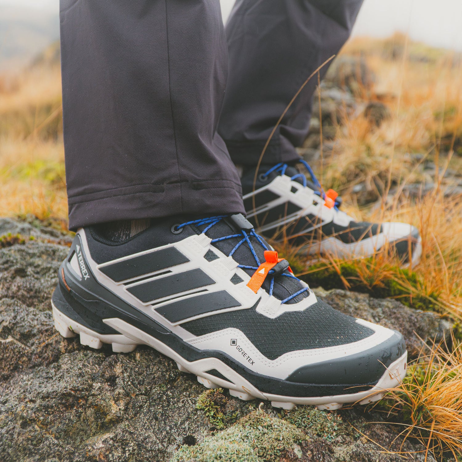 Terrex Skychaser GTX Mens - Core Black