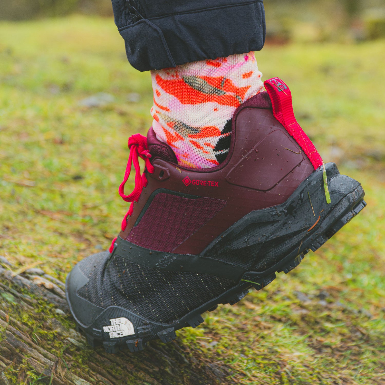 Offtrail TR Gore-Tex Womens - Alpine Plum/Asphalt Grey