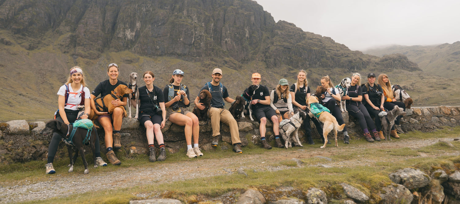 Hiking the Langdales with Non-stop Dogwear