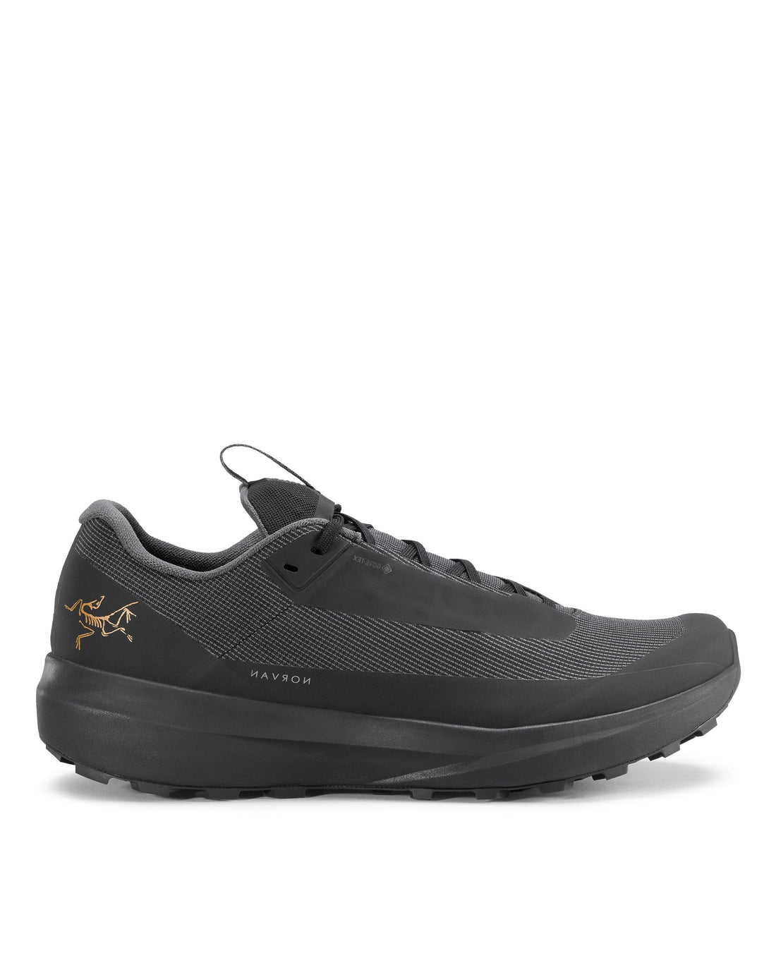 Norvan LD 4 GTX Womens  - Black/Black