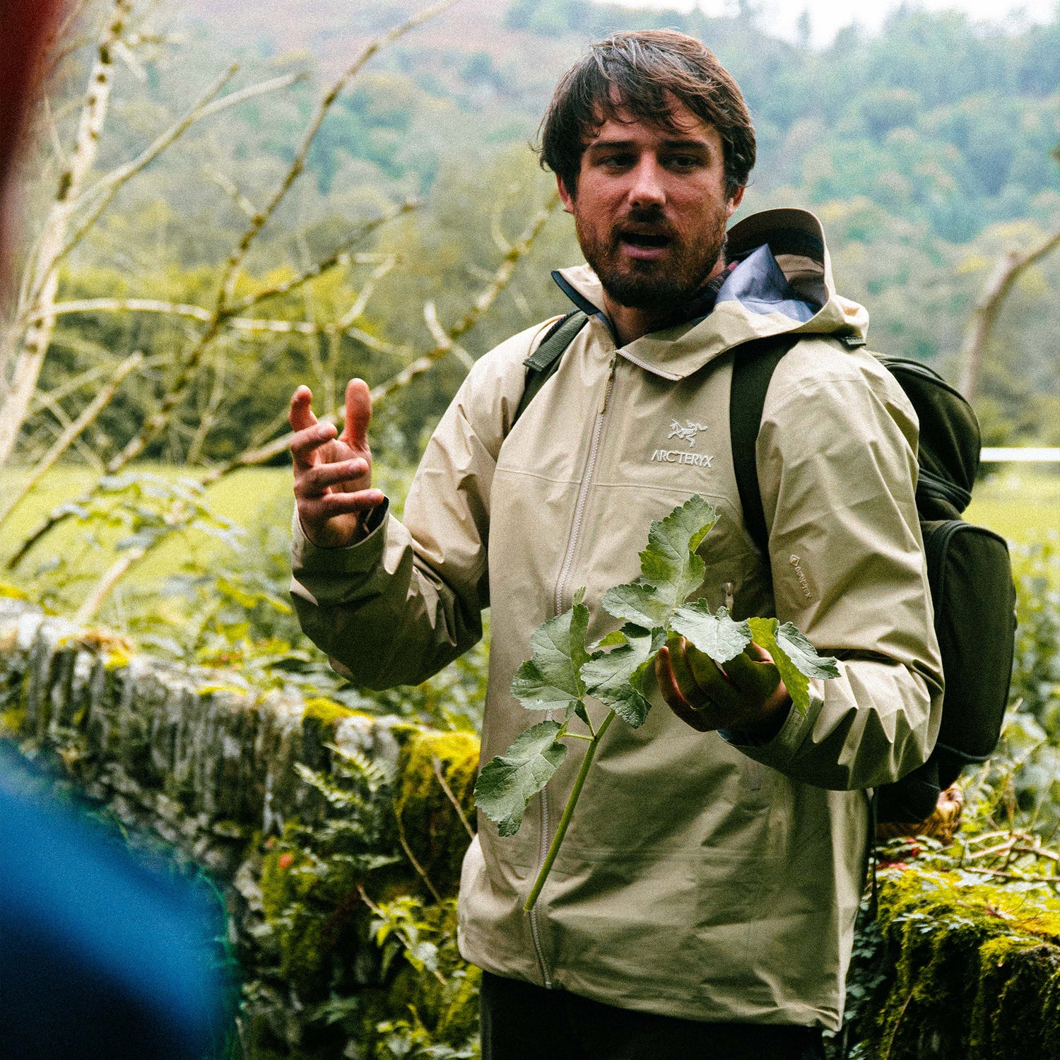 Forage in the Fells - Friday 26th September