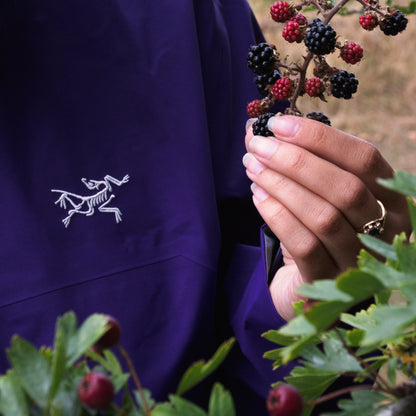 Forage in the Fells - Friday 26th September