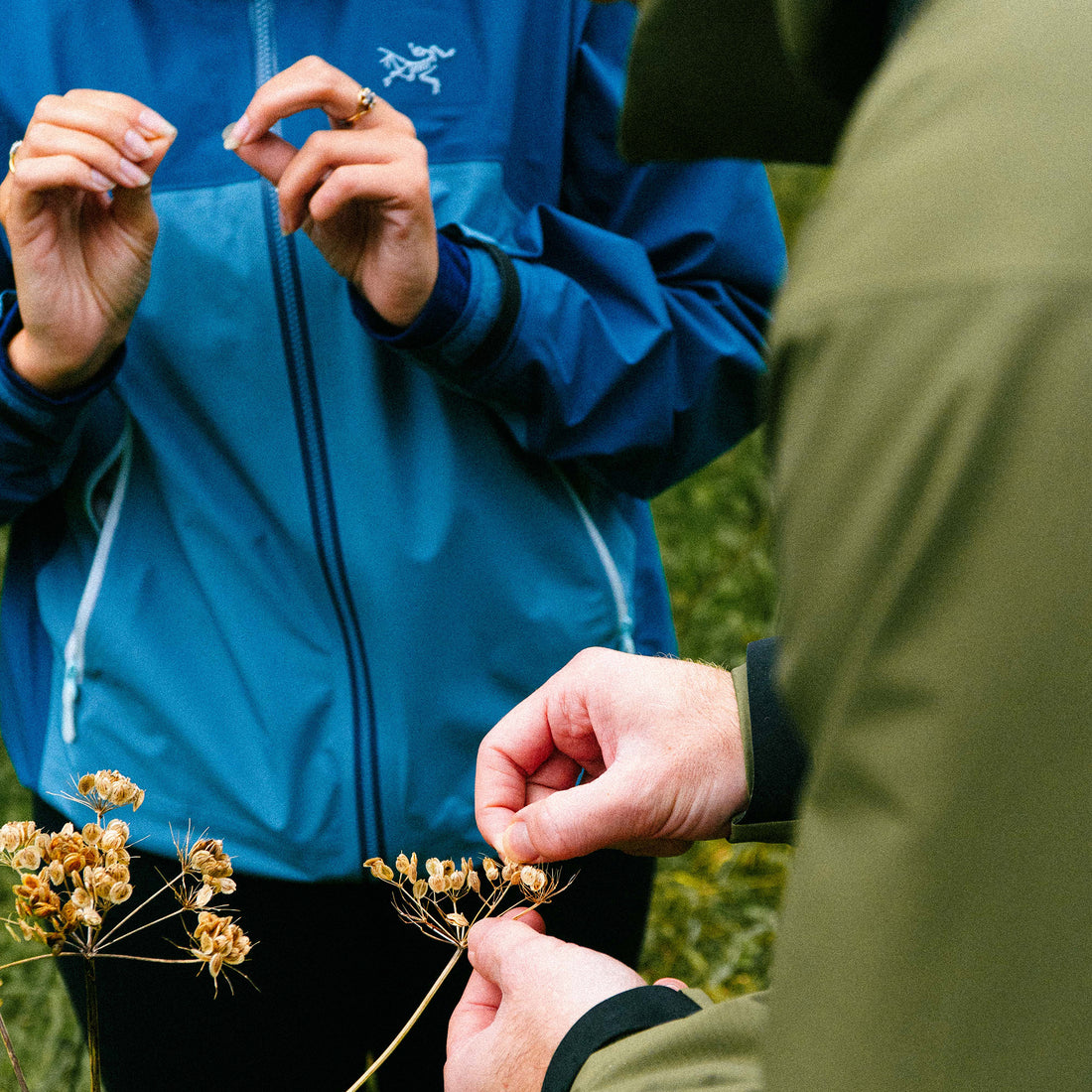 Forage in the &