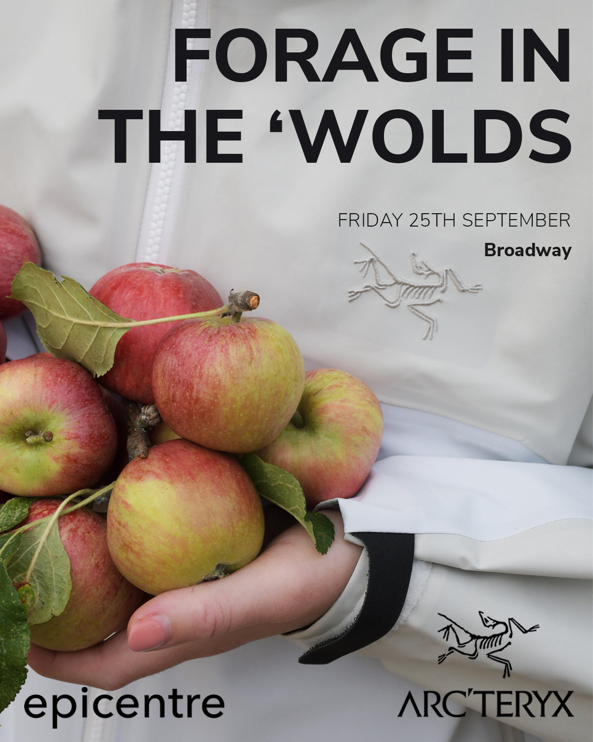 Forage In The &