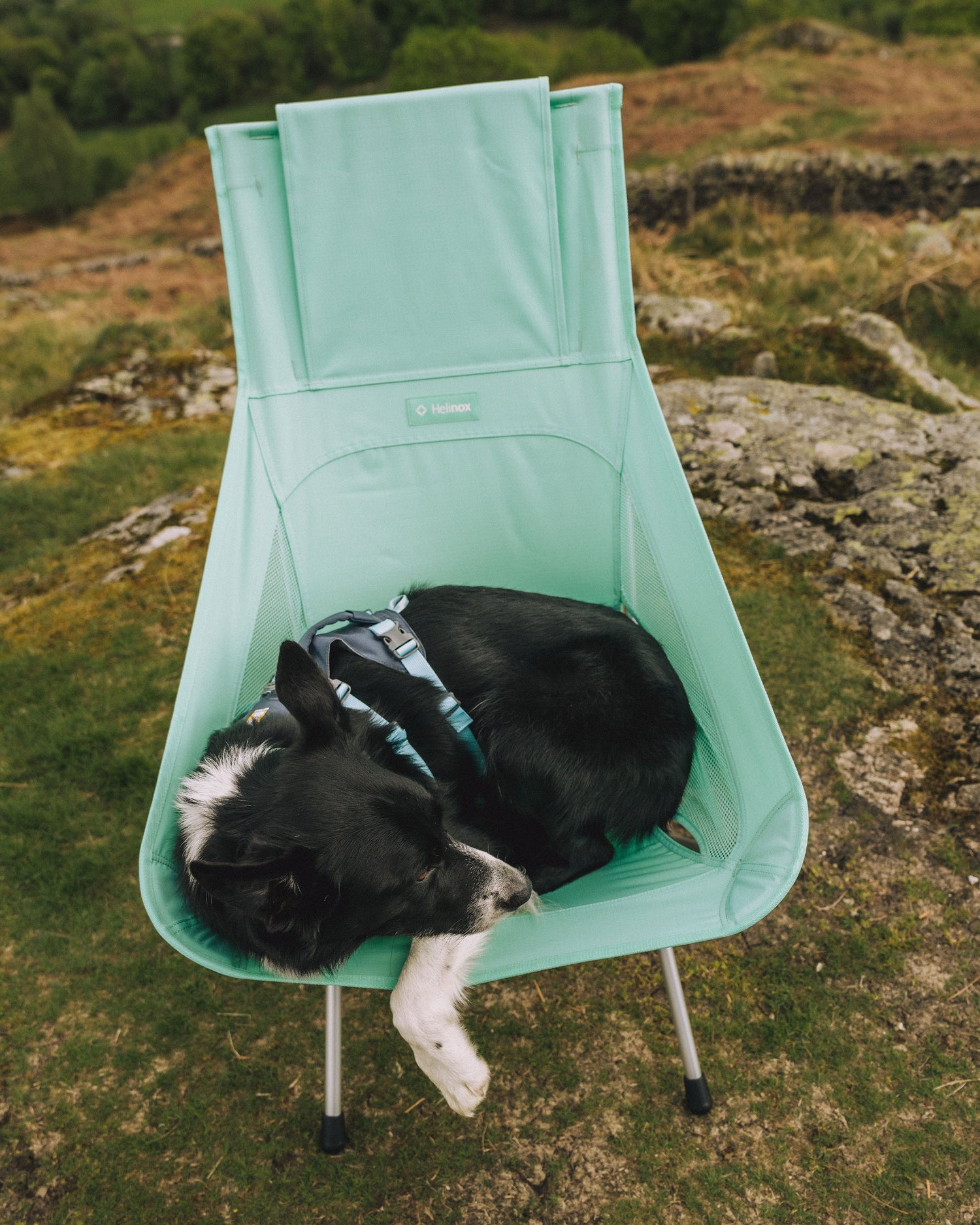 Sunset Chair (Re) - Biscay Green