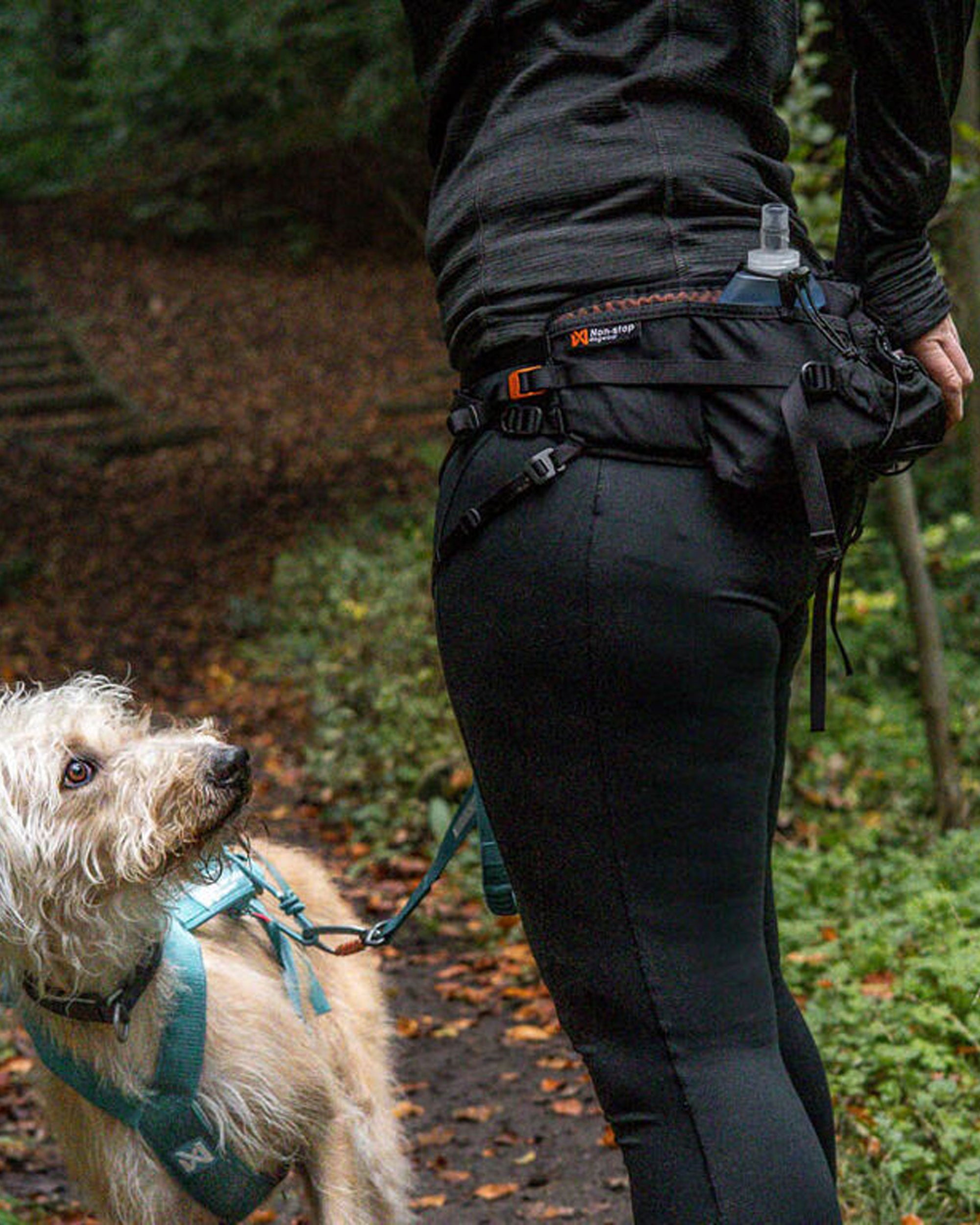 Trail Light Belt - Black