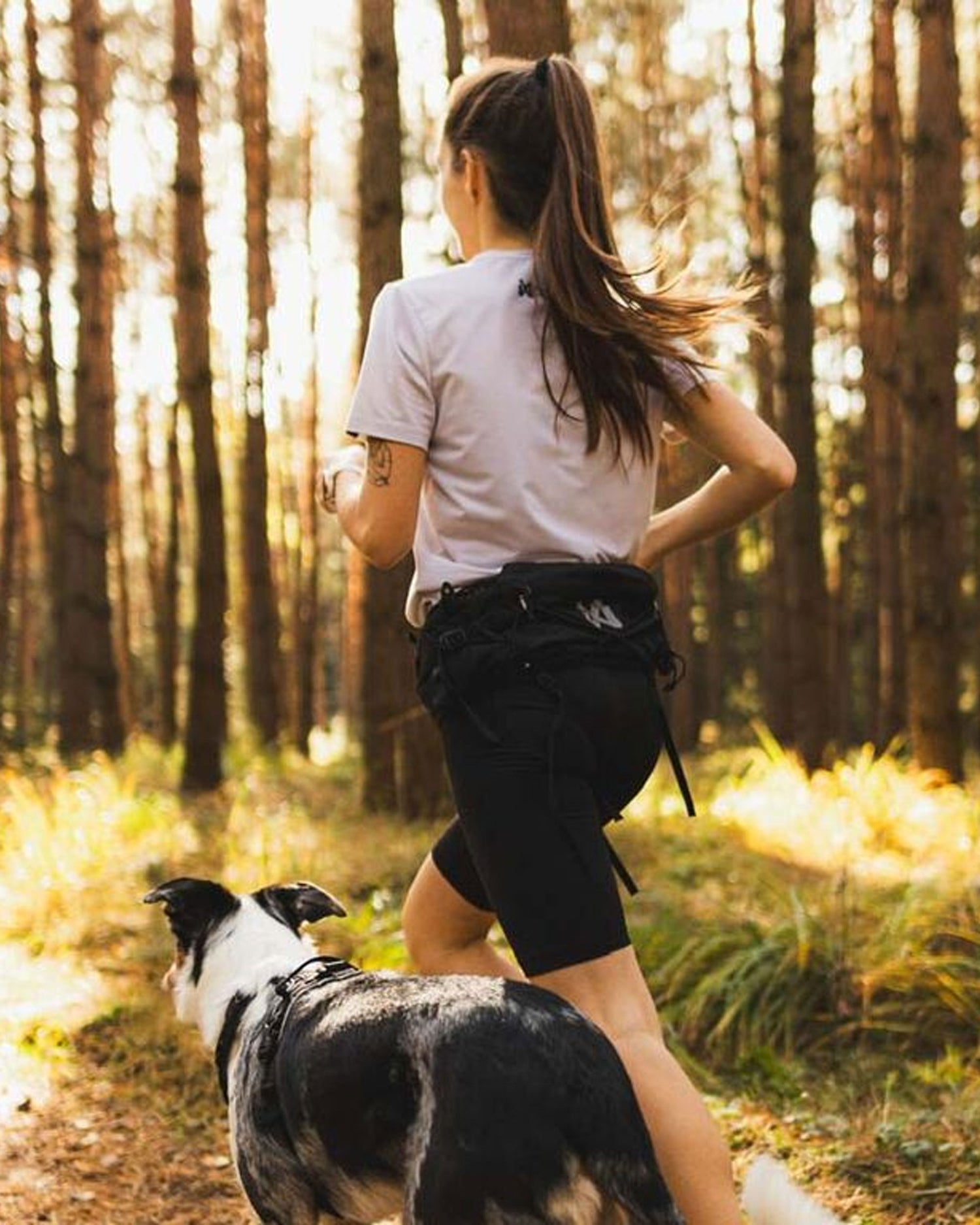 Trail Light Belt - Black