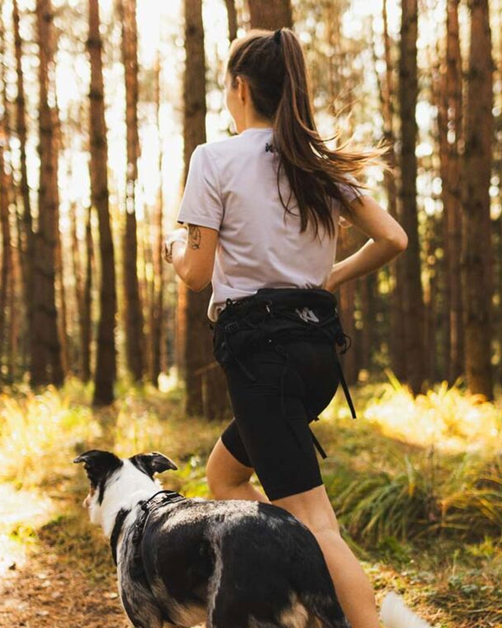 Trail Light Belt - Black