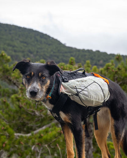 Trail Light Dog Backpack - Gray