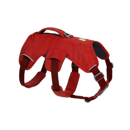 Web Master Harness - Red Sumac