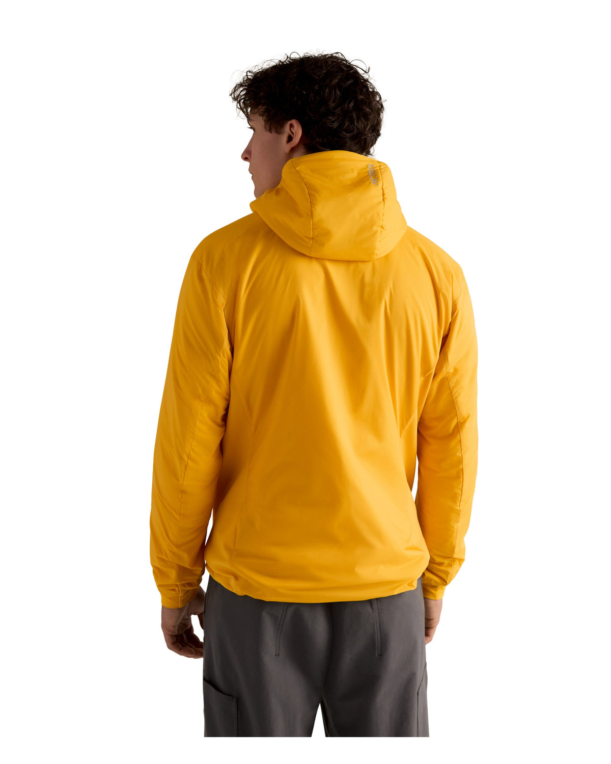 Atom Hoody Mens - Larch