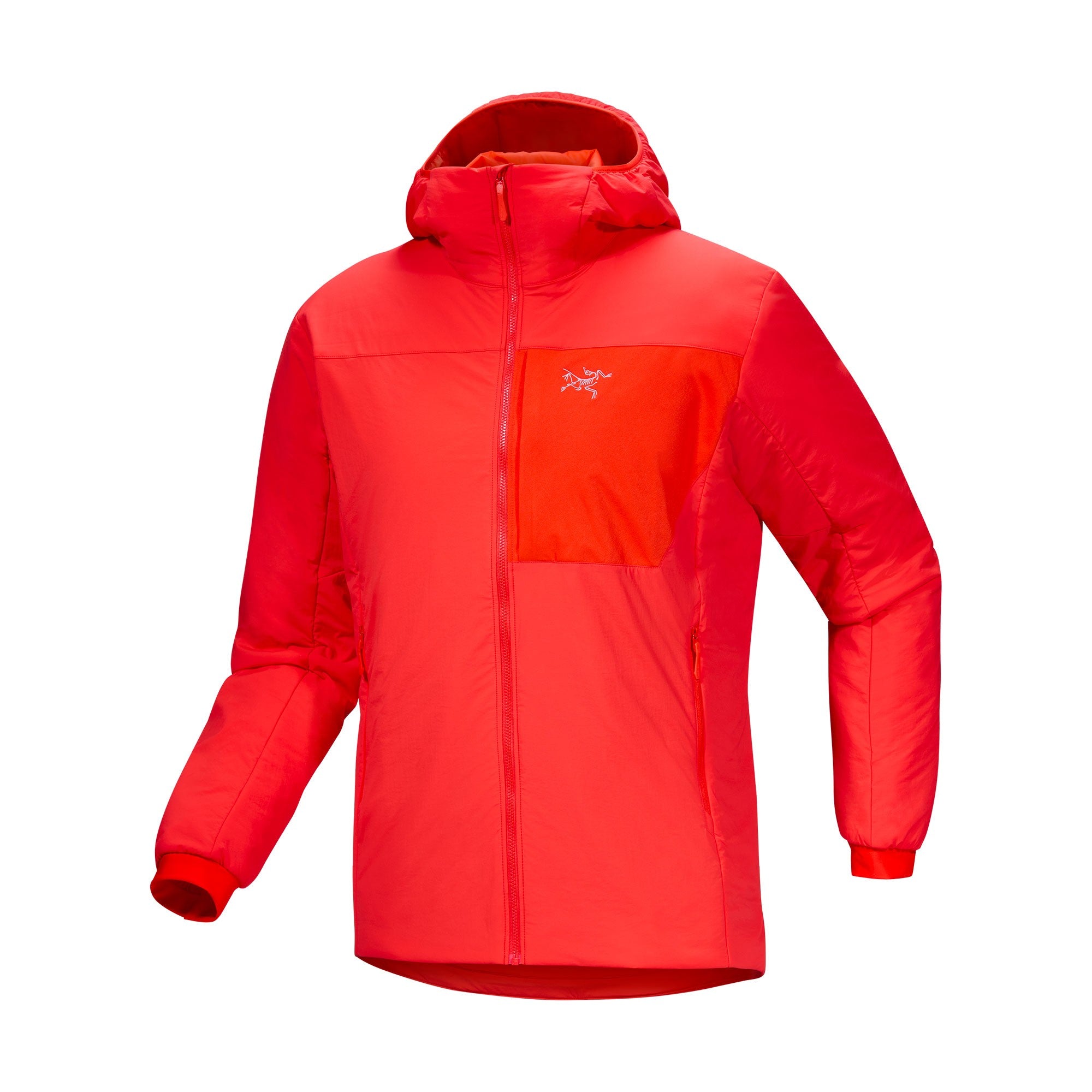 Proton Hoody Mens - Dynasty