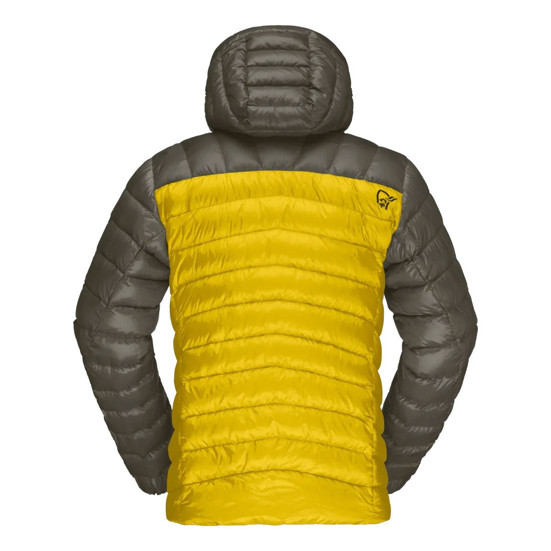 Lyngen Down850 Hood Mens - Golden Palm