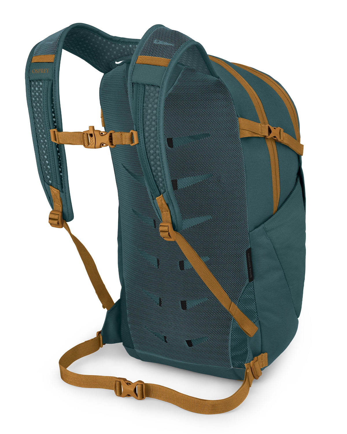 Daylite Plus - Torrent Blue