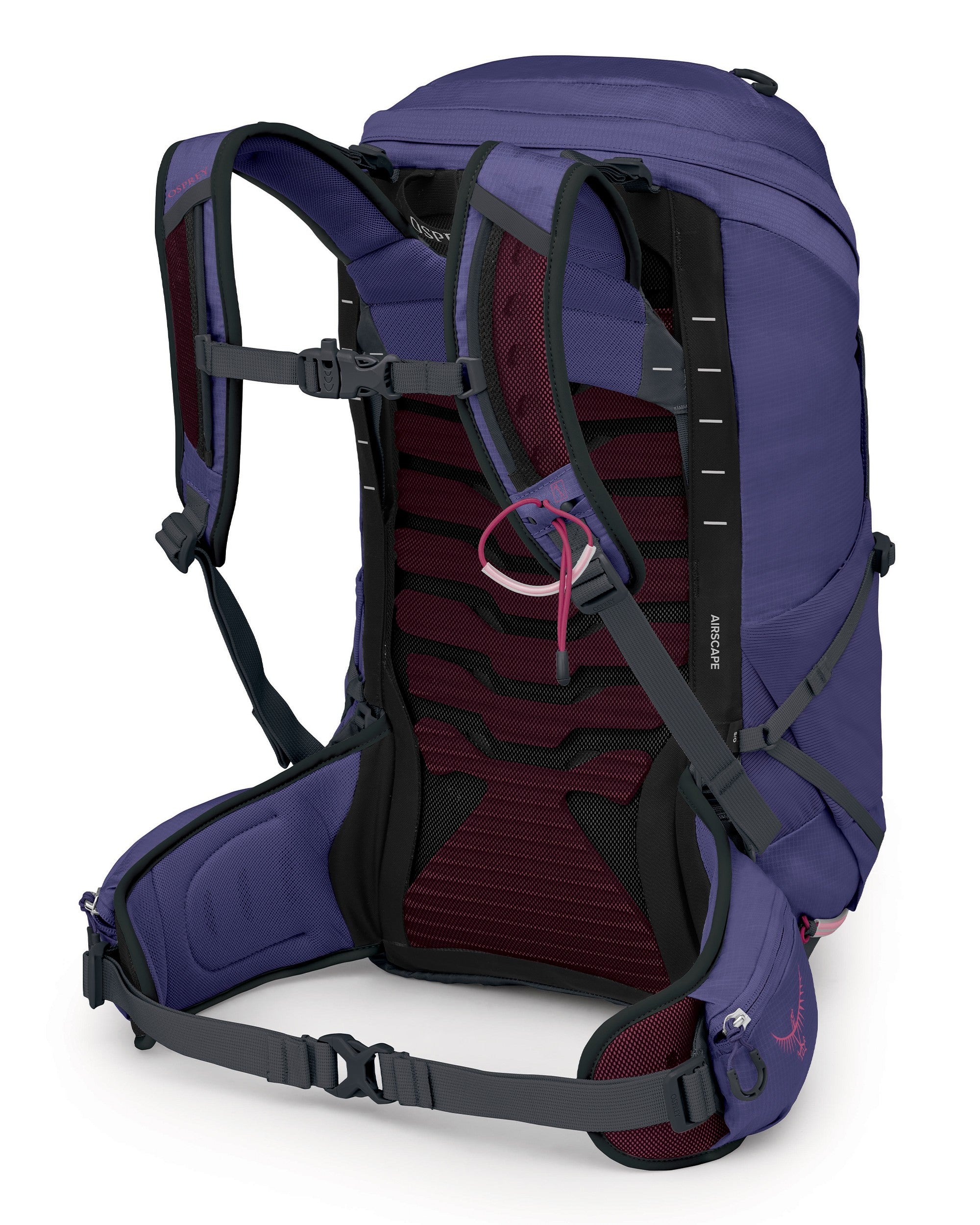 Tempest 26 - Deep Fig Hotspot Pink