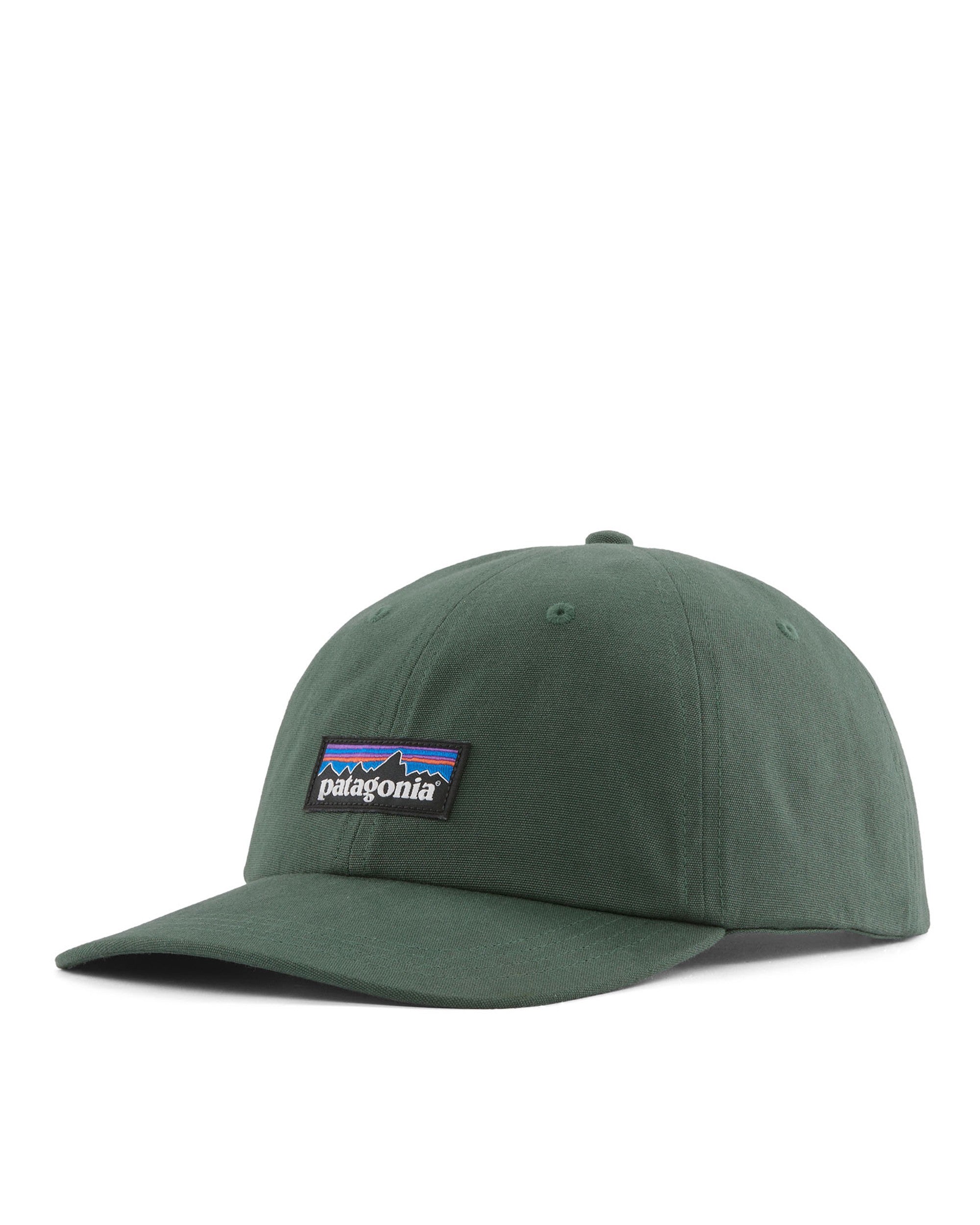 P-6 Label Trad Cap - Canopy Green