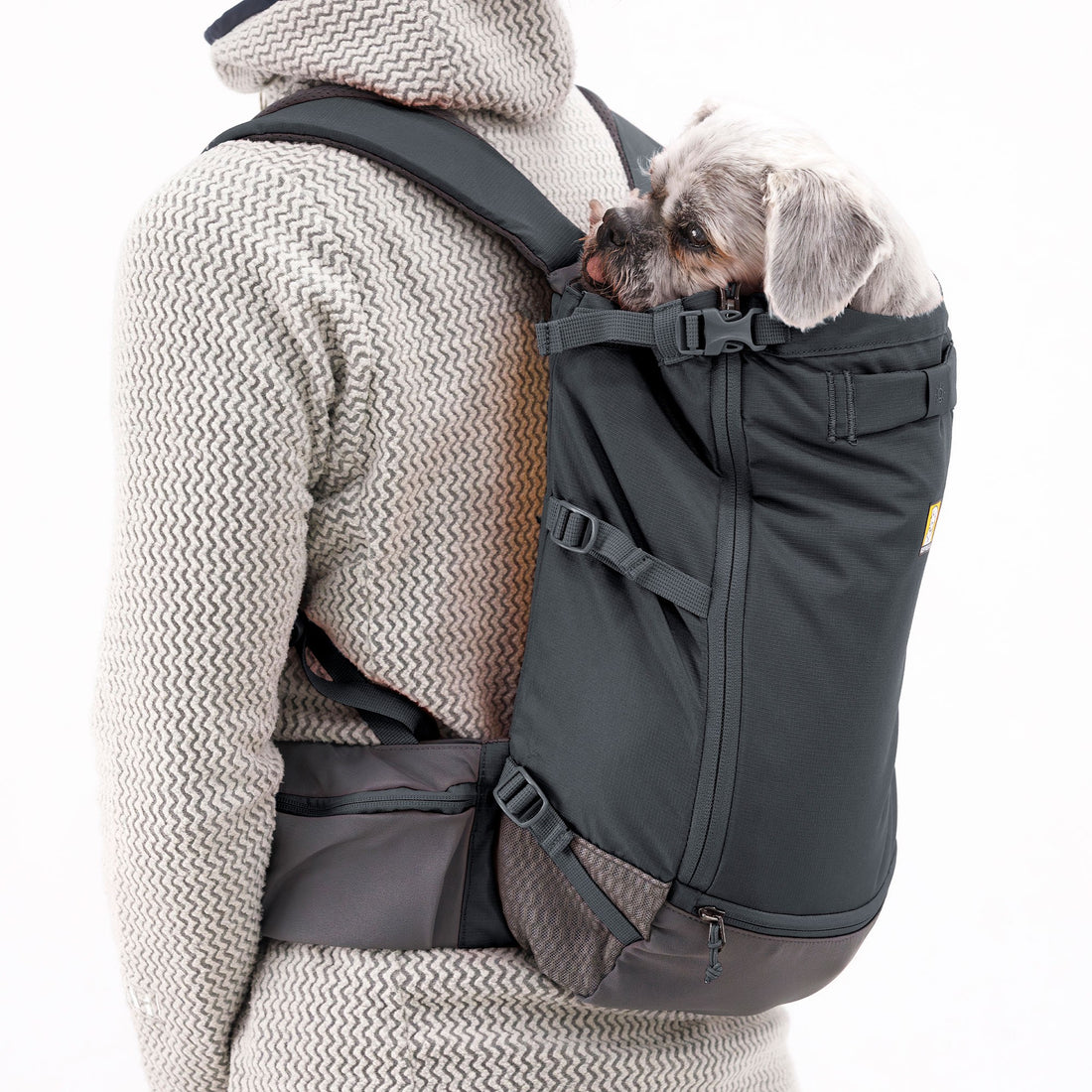 Hitch Hiker Dog Backpack Carrier - Basalt Gray