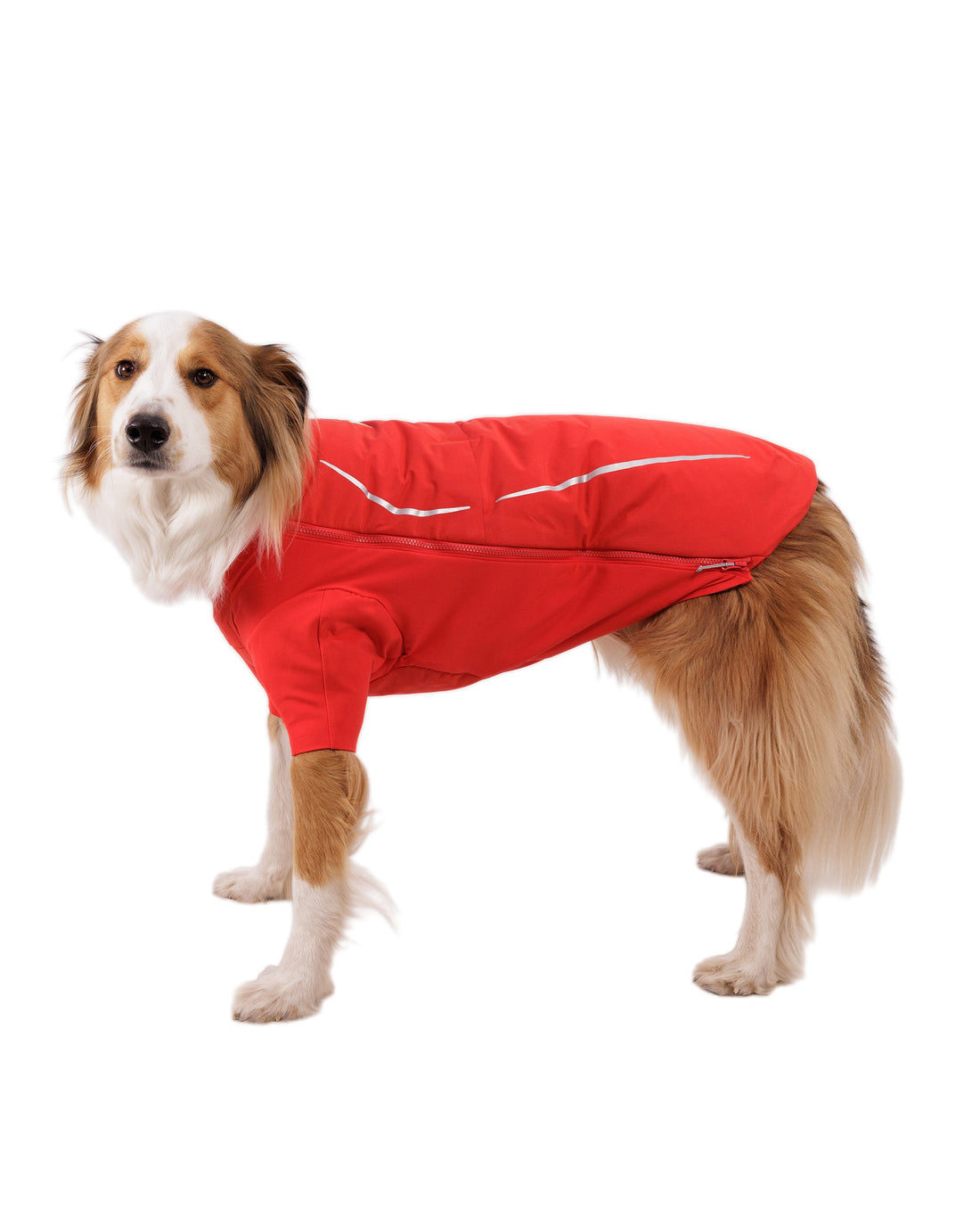 Powder Hound Waterproof Insulated Jacket - Red Currant