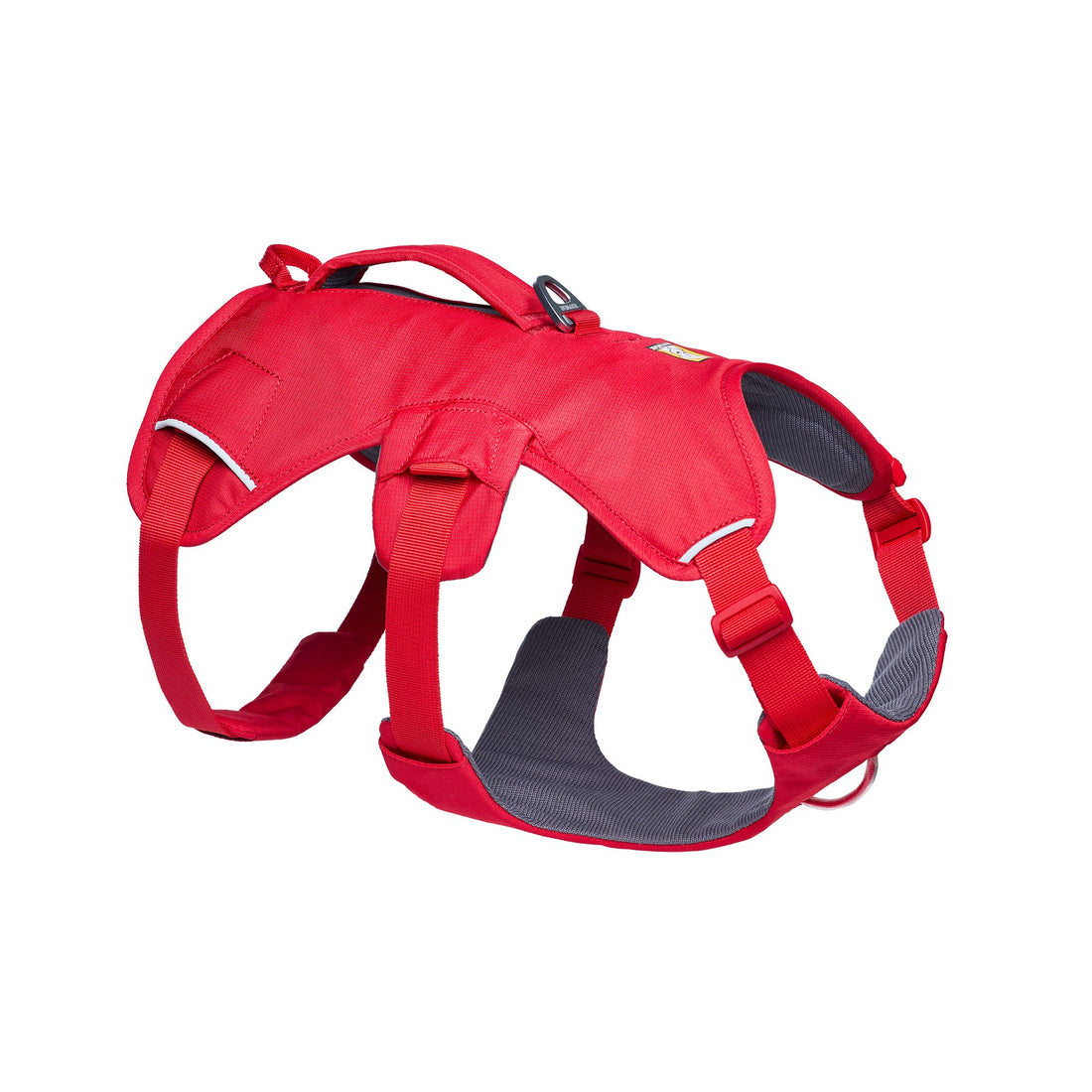 Web Master Harness - Red Canyon