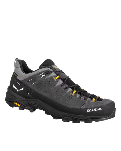 Alp Trainer 2 GTX Mens - Onyx/Black