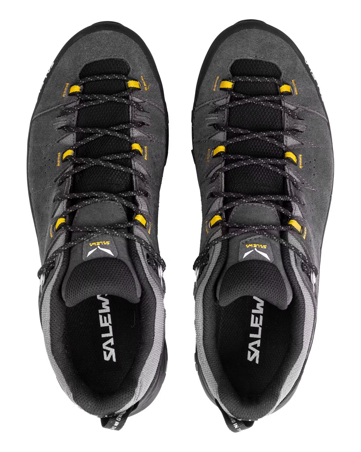 Alp Trainer 2 GTX Mens - Onyx/Black