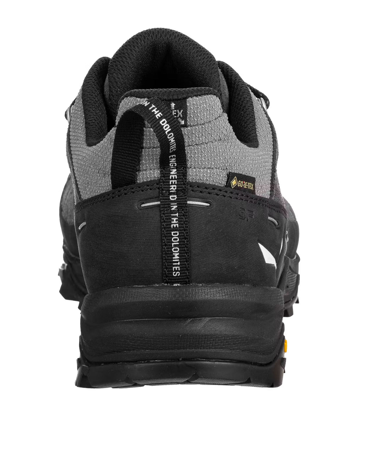 Alp Trainer 2 GTX Mens - Onyx/Black