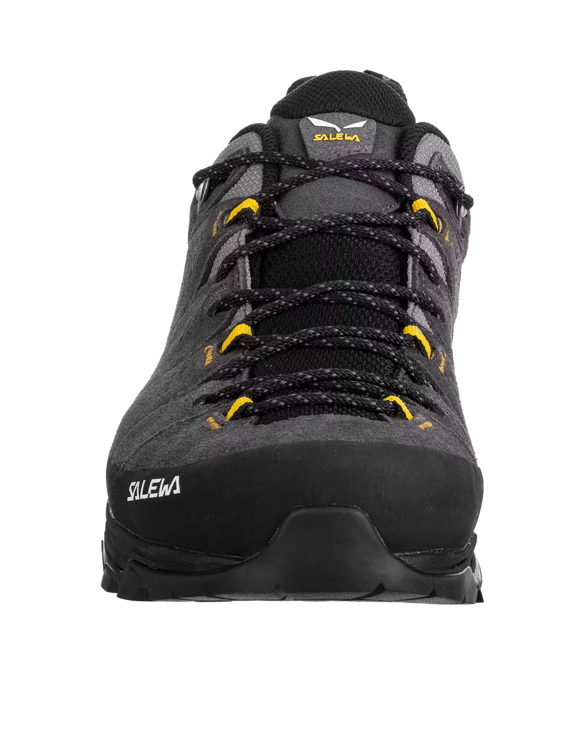 Alp Trainer 2 GTX Mens - Onyx/Black