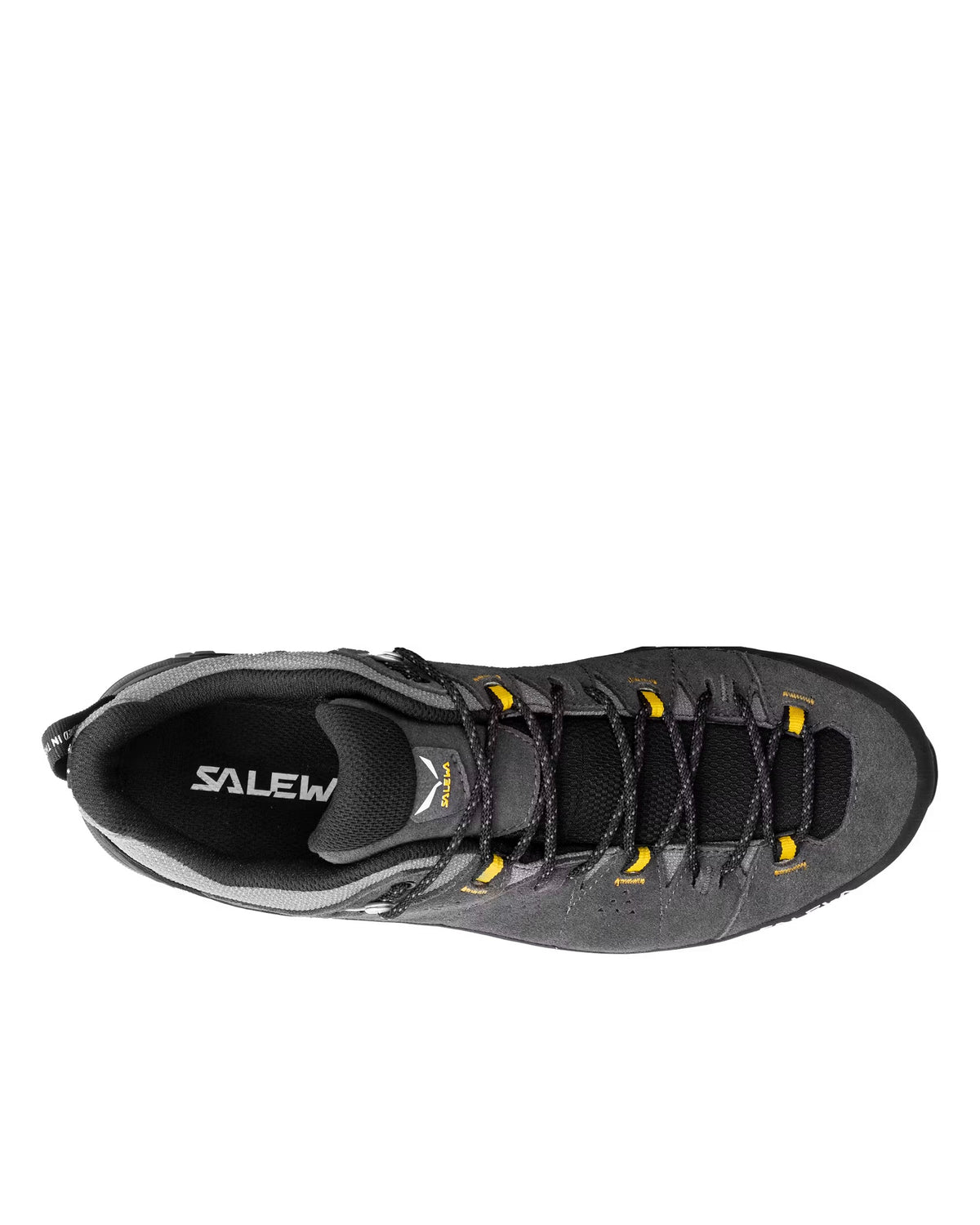 Alp Trainer 2 GTX Mens - Onyx/Black