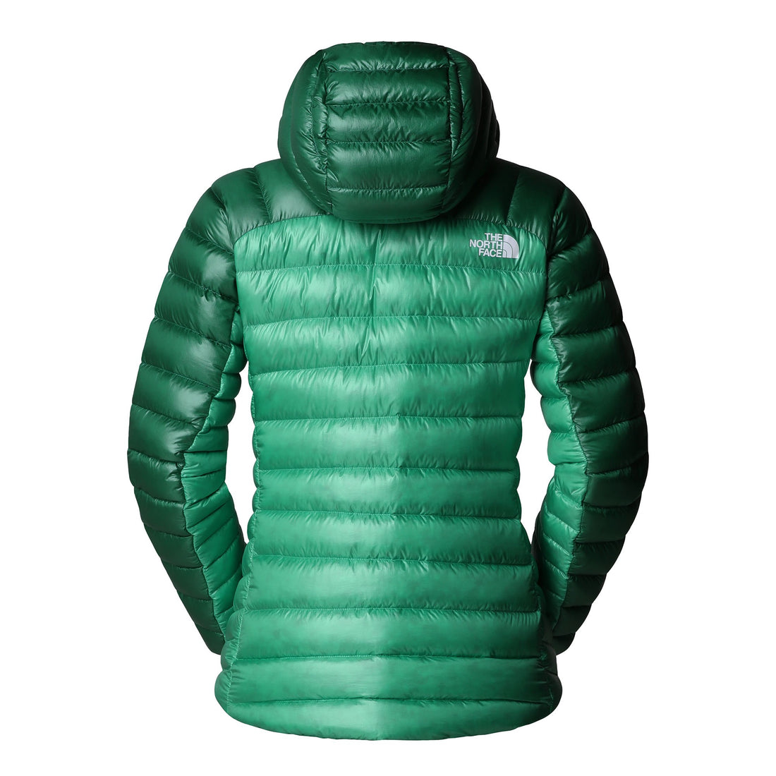 Summit Breithorn Hoodie Womens - Nebula Green/Evergreen
