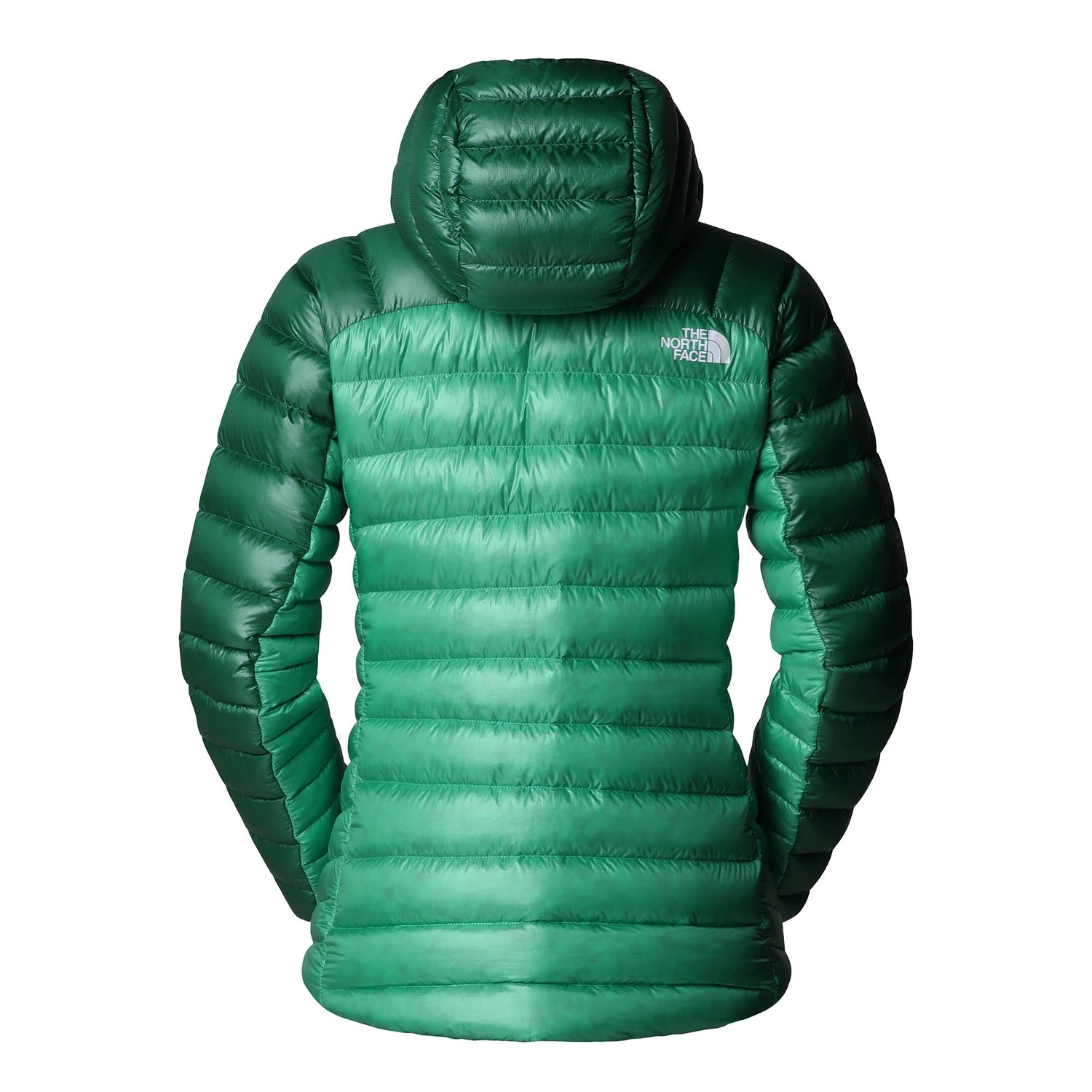 Summit Breithorn Hoodie Womens - Nebula Green/Evergreen